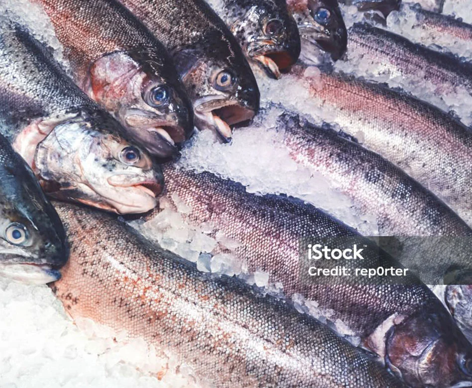 Fish & Game Storage