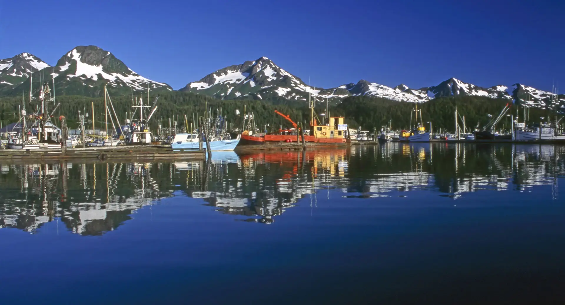 Kodiak Harbor