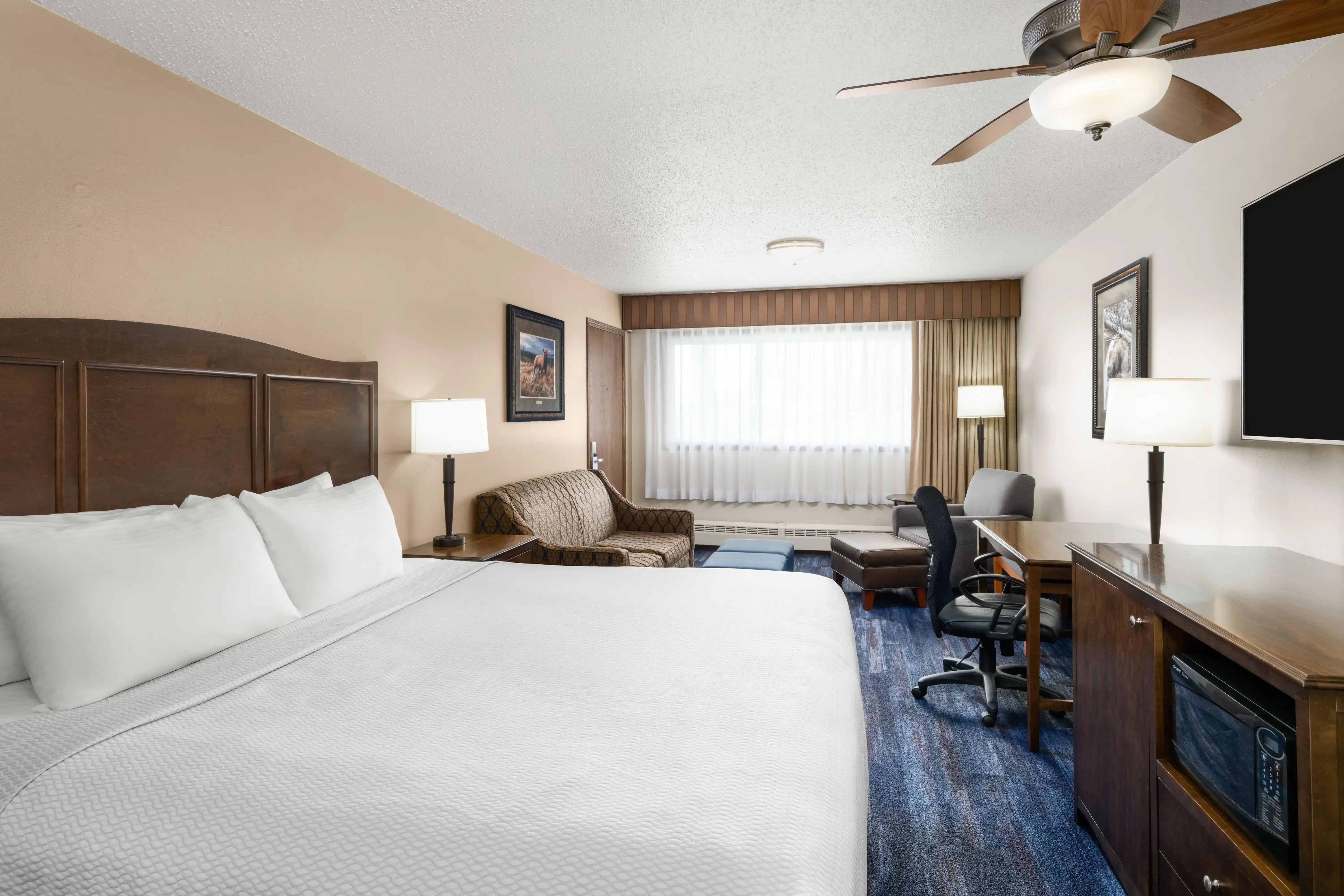 Junior Suite 1