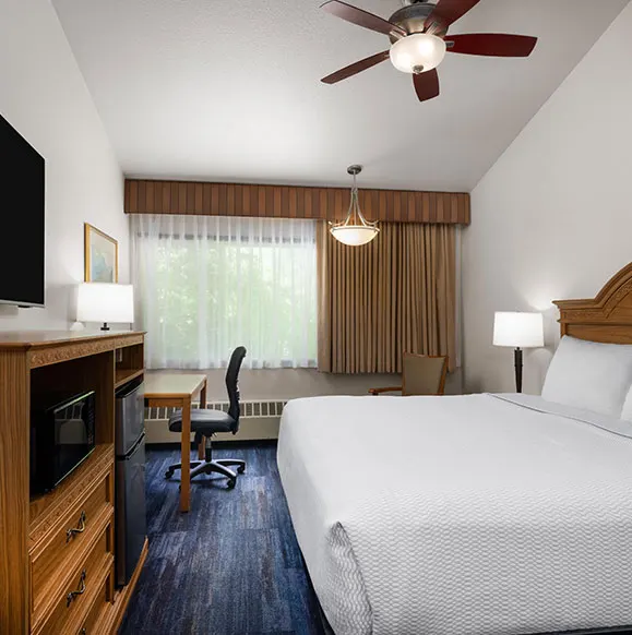 1 King Bed
