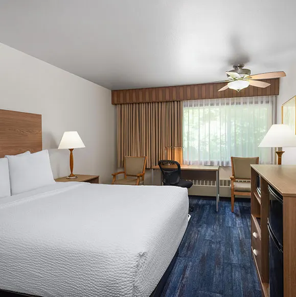 1 Queen Bed
