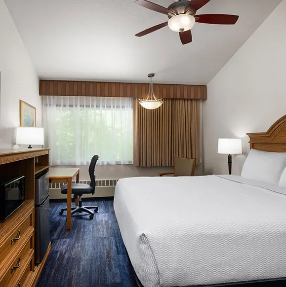 Harbor View Suite