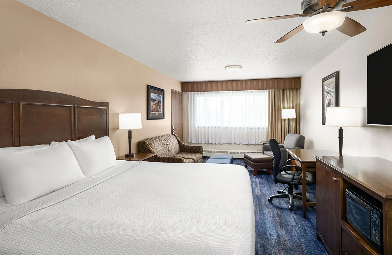 Junior Suite 1