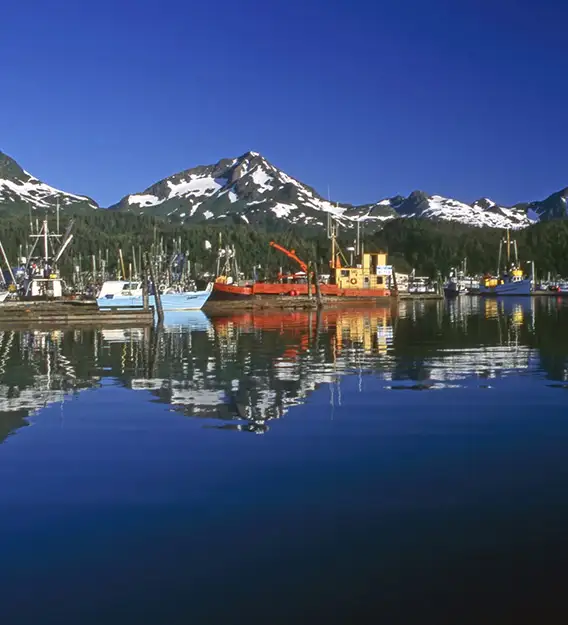 Kodiak Harbor