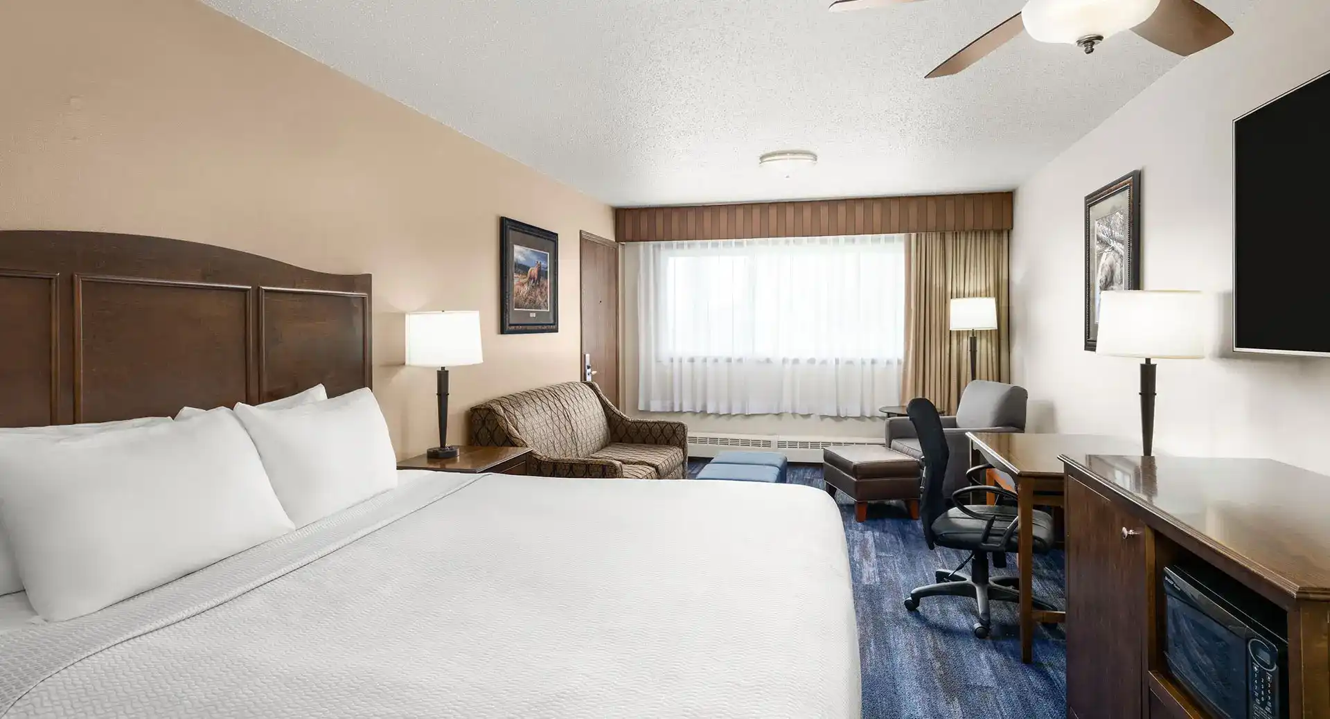  Junior Suite 1